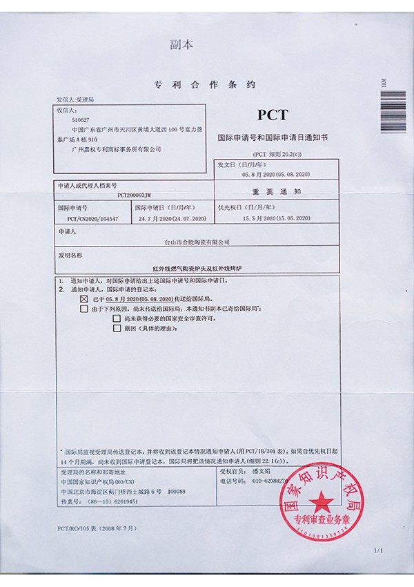 Patent Cooperation Treaty (copy)